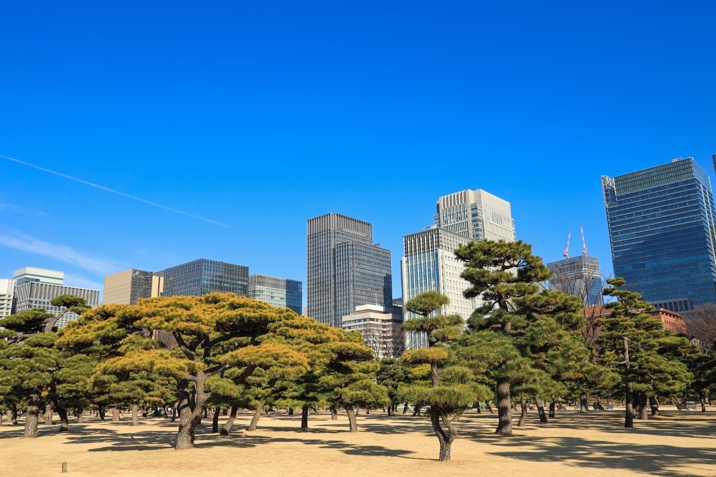 一般社団法人エリアアプレイザル丸の内Arch　3.士業・不動産鑑定士向け／まちづくりツアー・講義